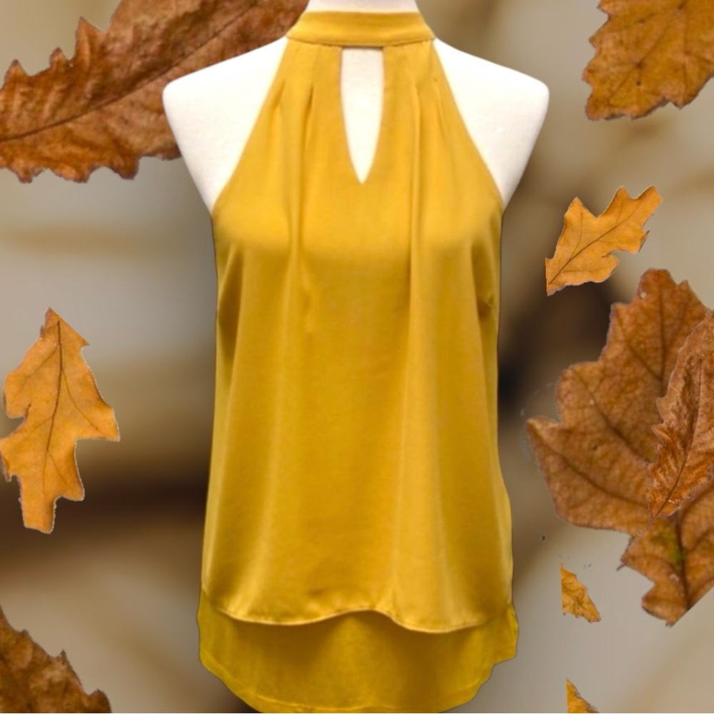 🌼HOST PICK🌼 NWT Bar III Sleeveless Chiffon Blouse